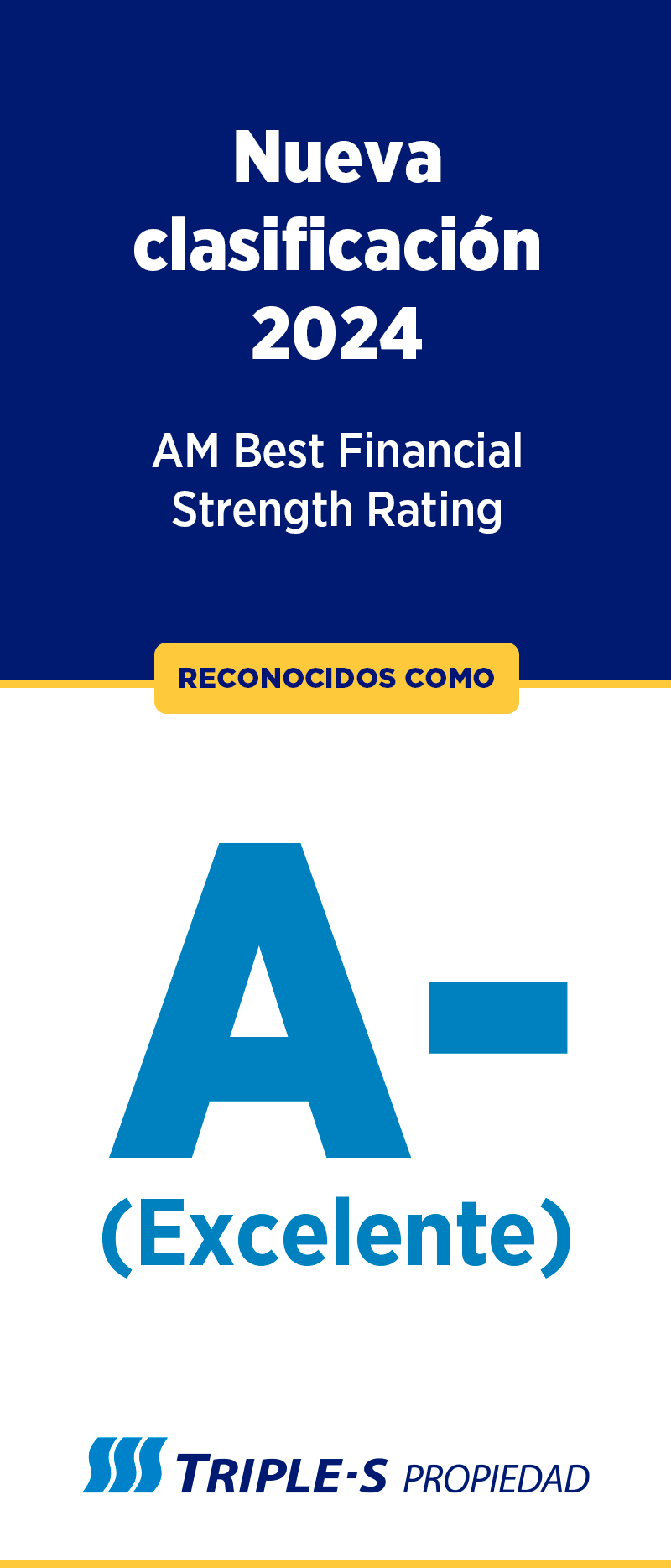 2024 AM Best Financial Strength Rating A-(Excelente)